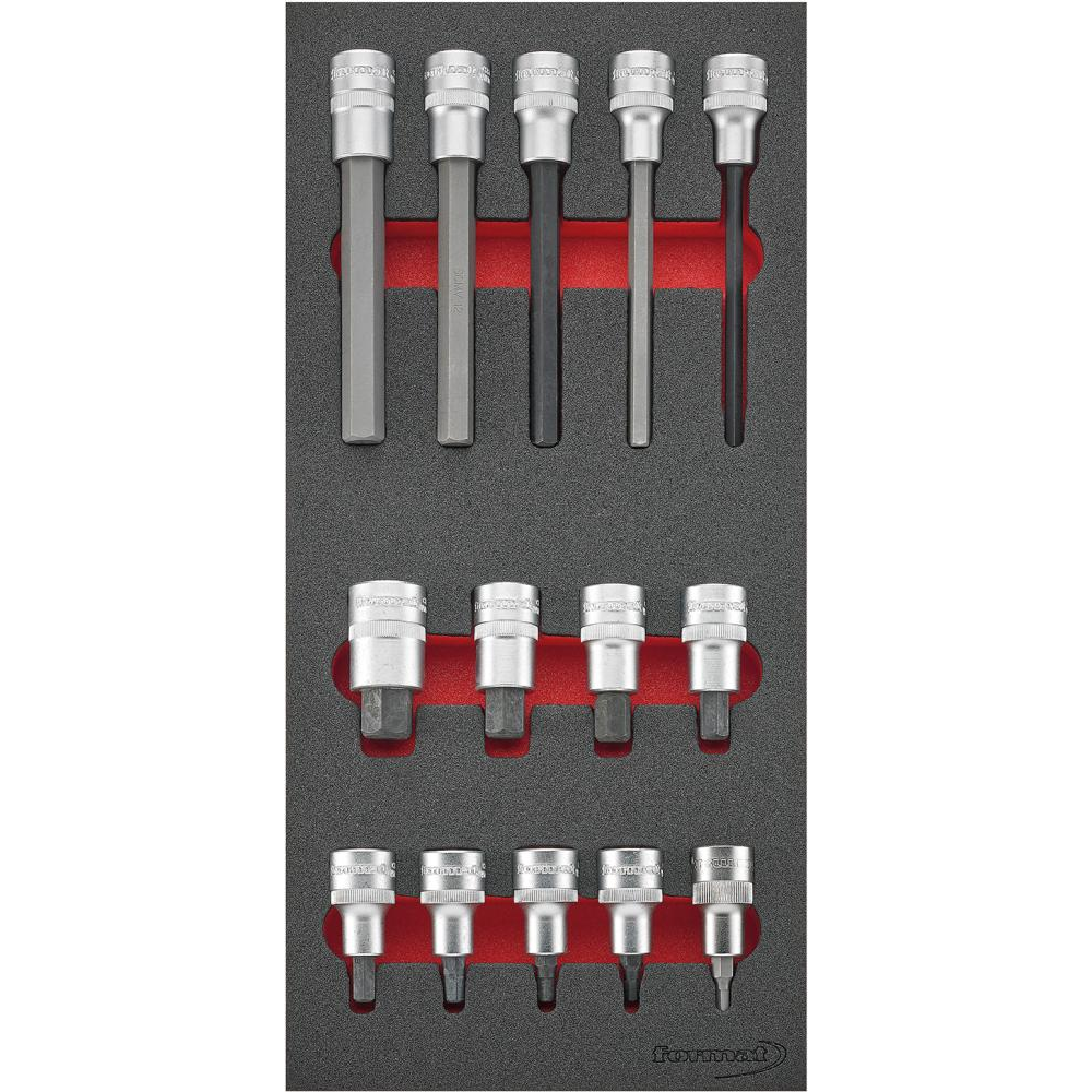 картинка Инструментальный модуль, вставки для торцевых ключей 1/3, шестигранник 1/2 дюйма FORMAT 6175 0170 Fplus от магазина "Элит-инструмент"