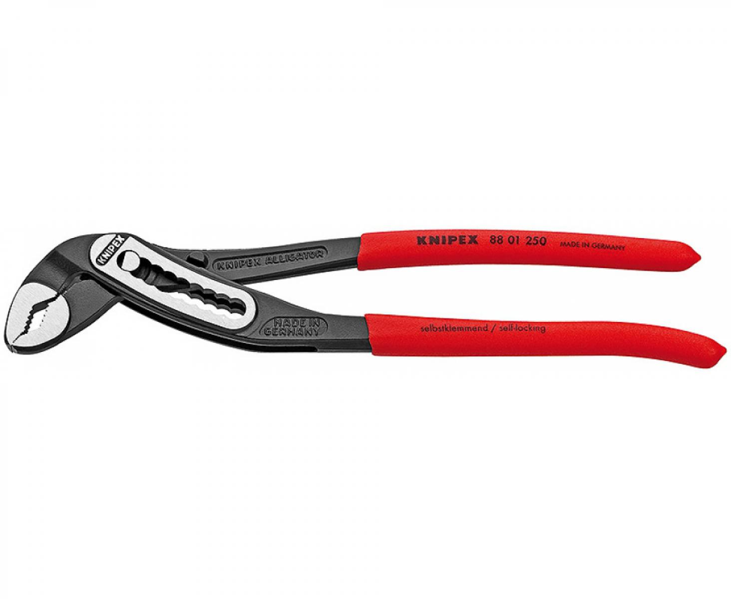 картинка Клещи KNIPEX Alligator KN-8801250SB в блистере от магазина "Элит-инструмент"