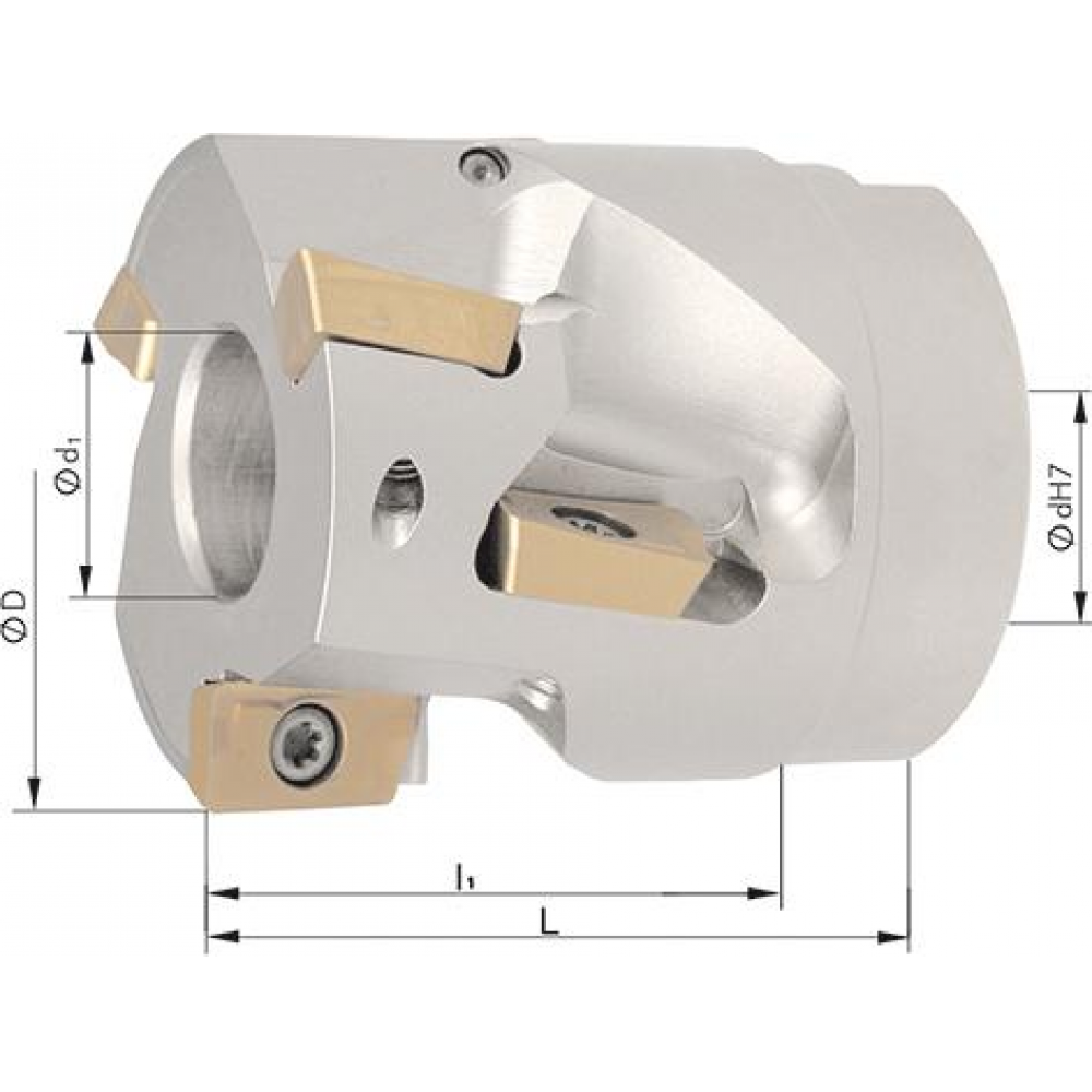 Фреза насадная концевая D80мм Z5 для APET/APMT/APKT 1604. FORMAT 2999 0620 Fplus